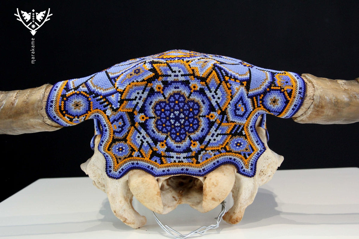 Craneo de vaca Arte Huichol - Kuruxikame - Arte Huichol - Marakame