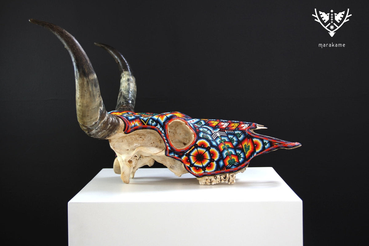 Cráneo de vaca Arte Huichol - Maxa kuaxi - Arte Huichol - Marakame