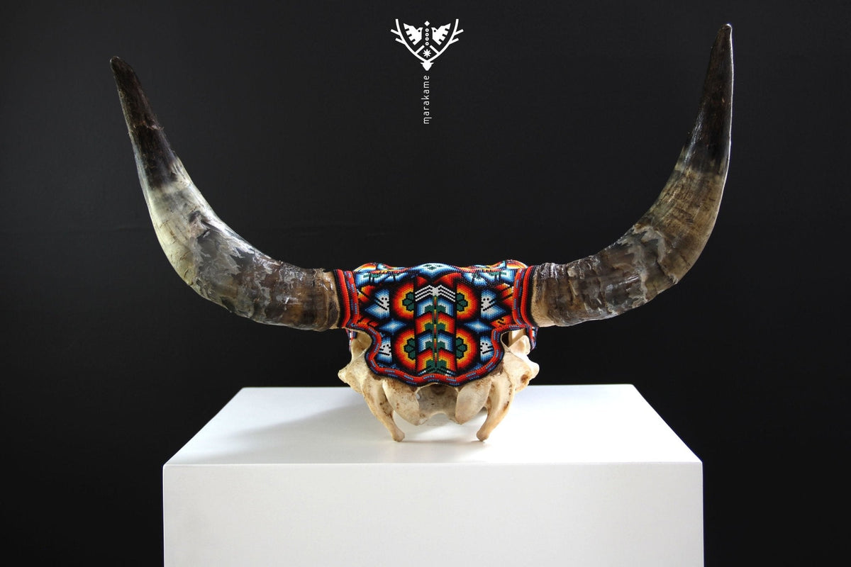Cráneo de vaca Arte Huichol - Maxa kuaxi - Arte Huichol - Marakame