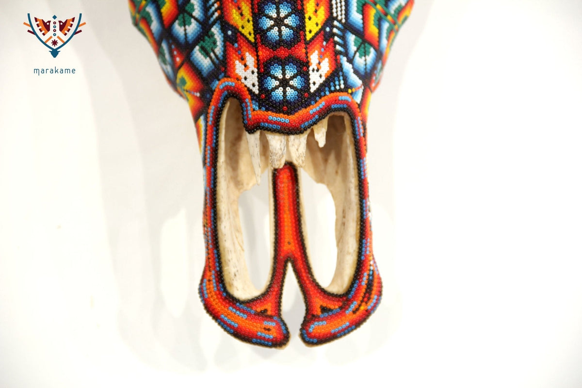 Cráneo de vaca Arte Huichol - Maxa kuaxi - Arte Huichol - Marakame