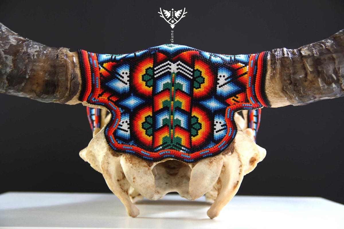 Cráneo de vaca Arte Huichol - Maxa kuaxi - Arte Huichol - Marakame
