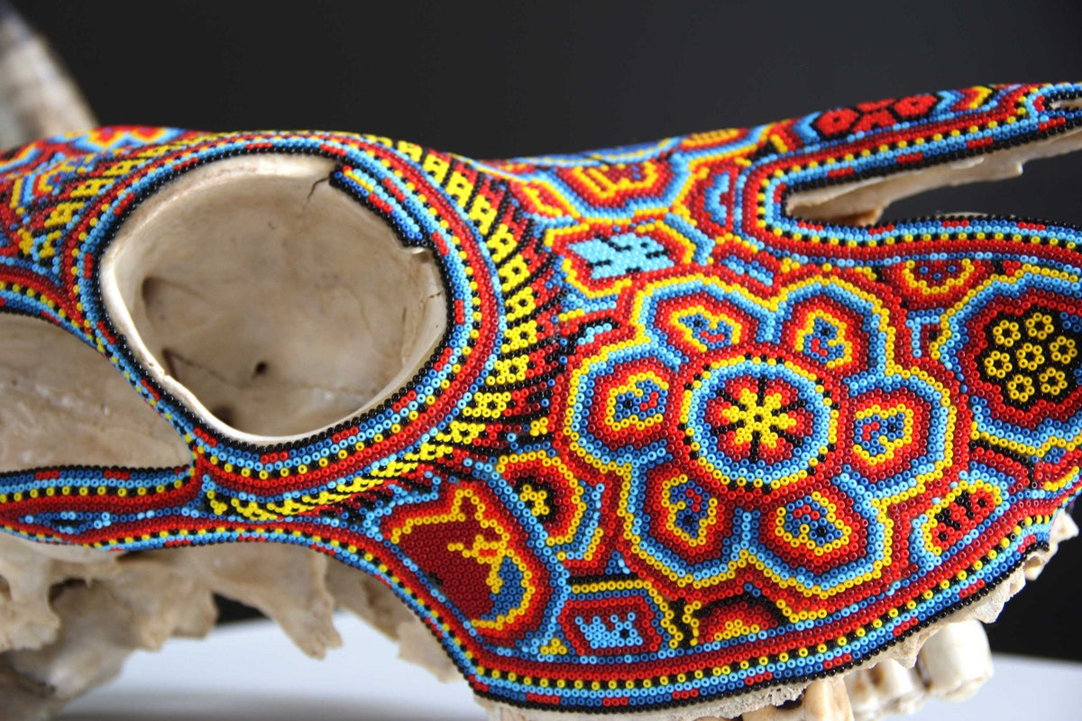 Cráneo de vaca Arte Huichol - Mayes en Hikuri - Arte Huichol - Marakame