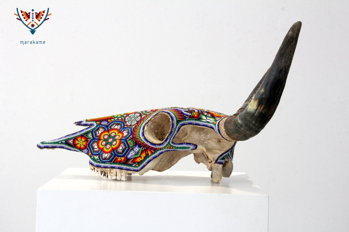 Cráneo de vaca Arte Huichol - Neixa Wixárika - Arte Huichol - Marakame