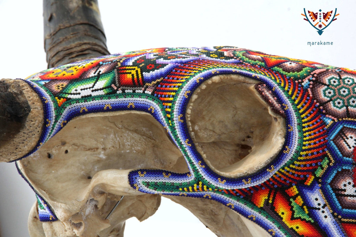Cráneo de vaca Arte Huichol - Neixa Wixárika - Arte Huichol - Marakame
