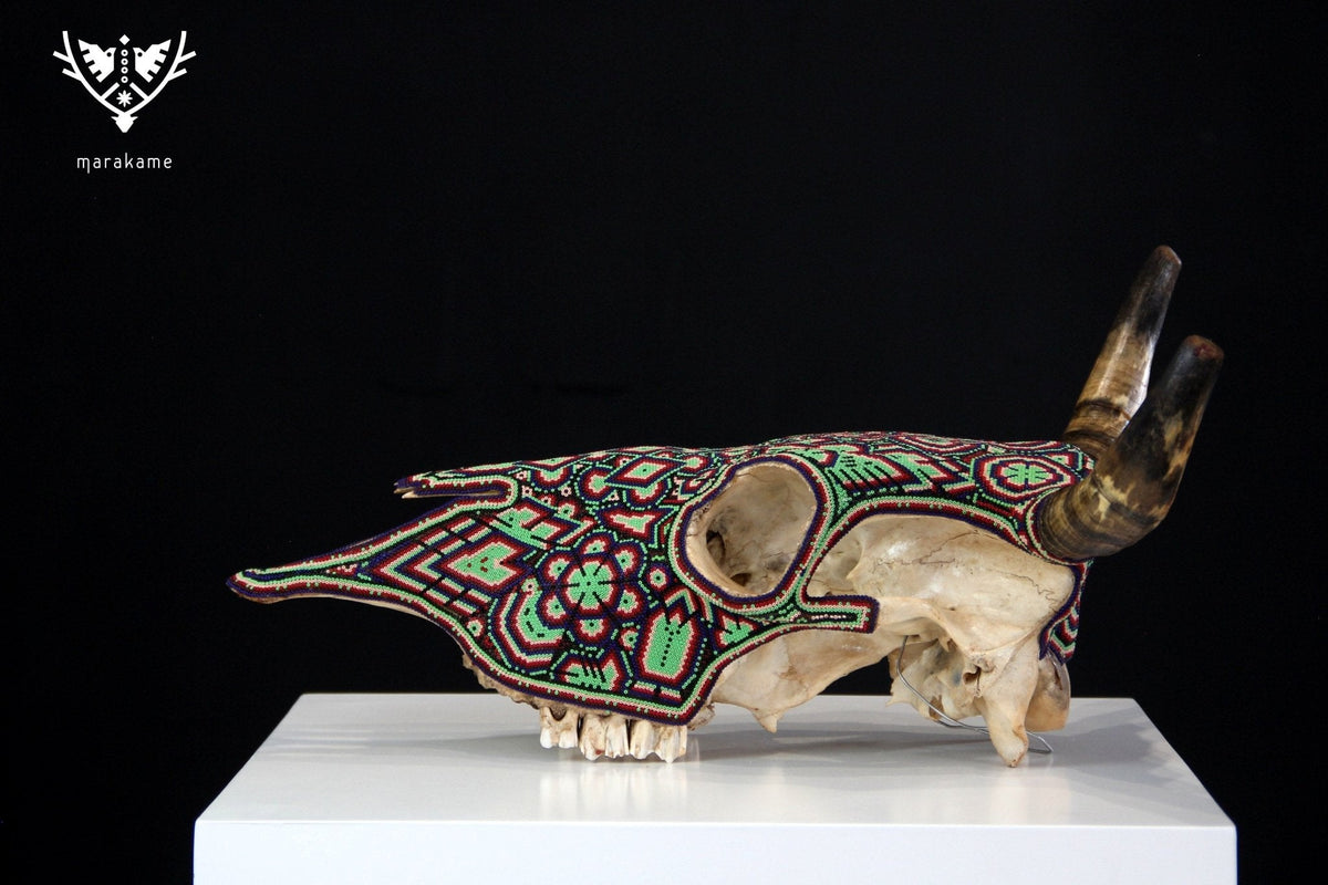 Cráneo de vaca Arte Huichol - Nierika miire - Arte Huichol - Marakame