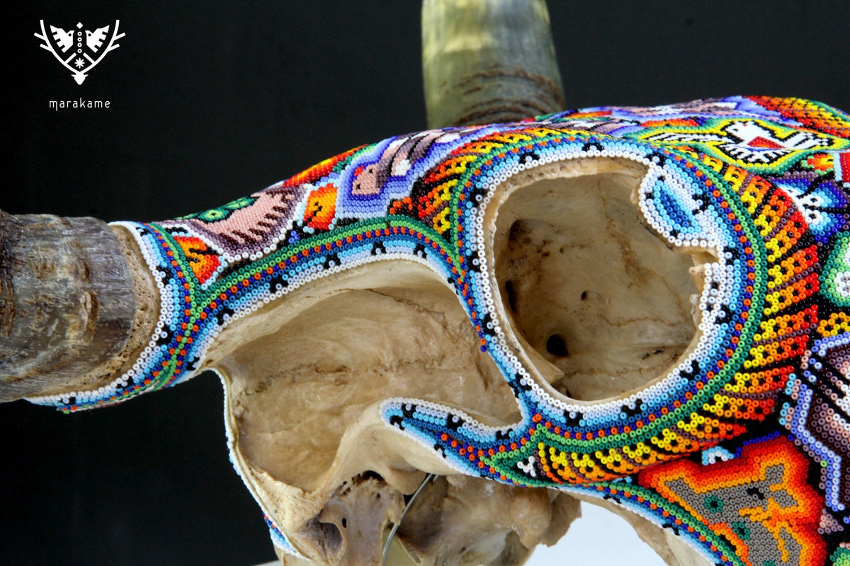 Cráneo de vaca Arte Huichol - Raie ascendente - Arte Huichol - Marakame