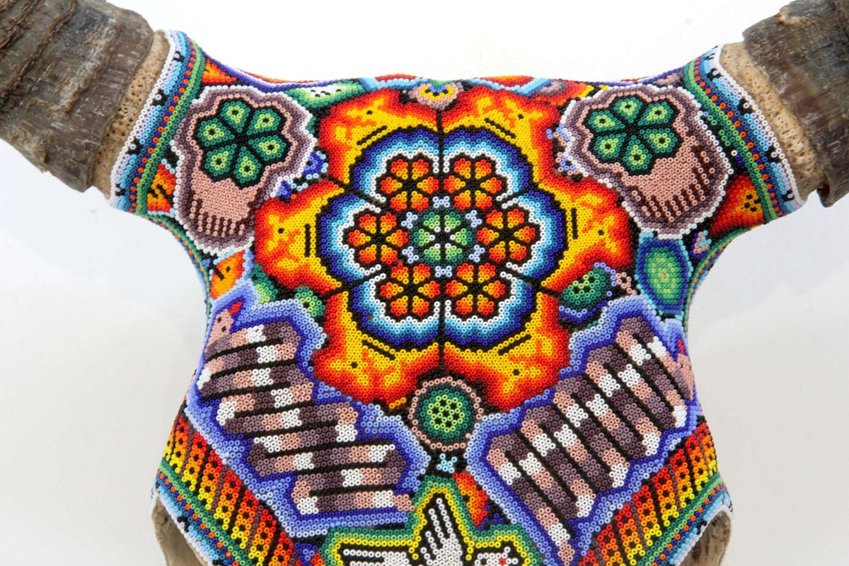Cráneo de vaca Arte Huichol - Raie ascendente - Arte Huichol - Marakame