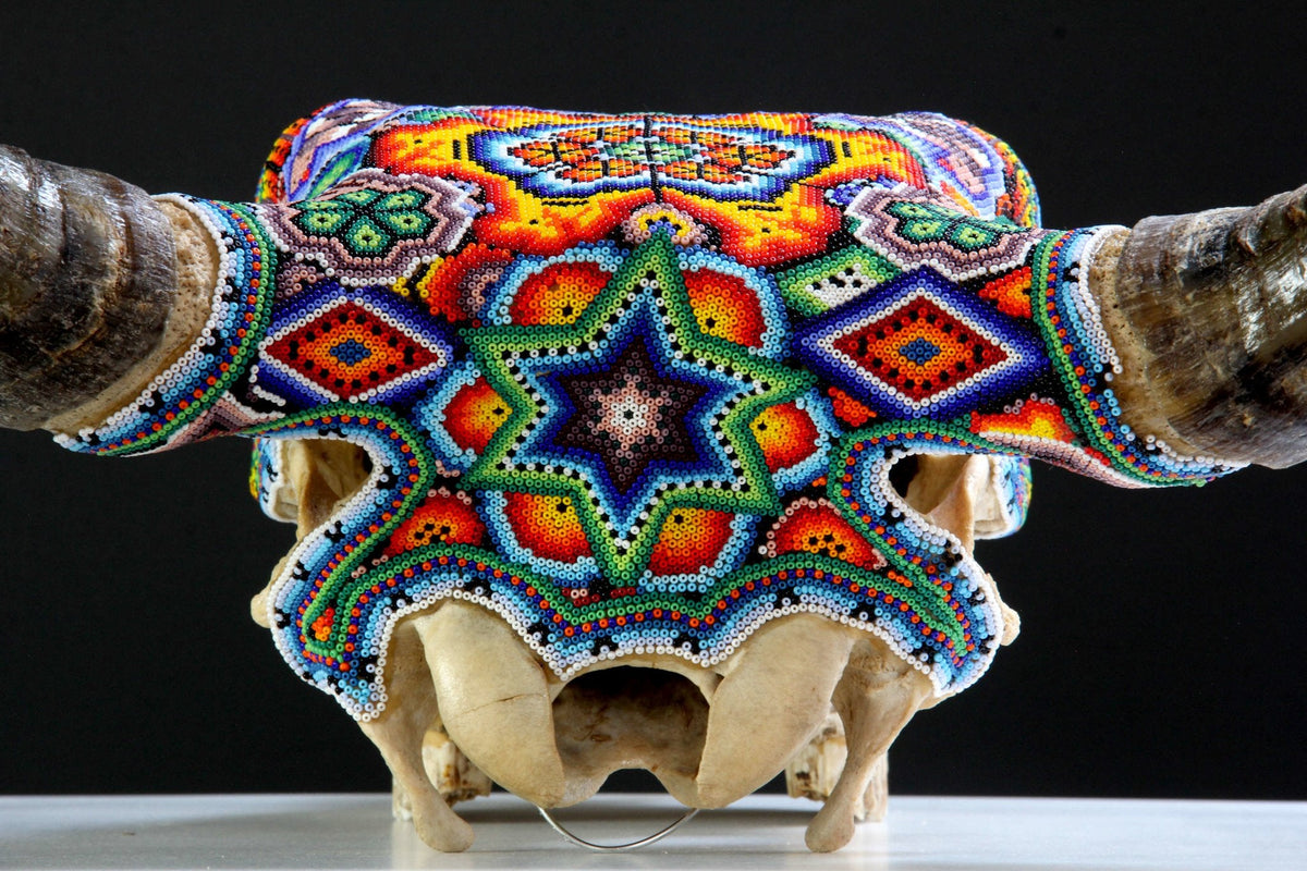 Cráneo de vaca Arte Huichol - Raie ascendente - Arte Huichol - Marakame