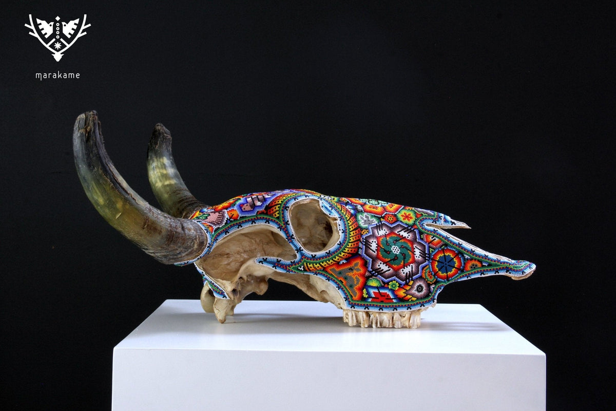Cráneo de vaca Arte Huichol - Raie ascendente - Arte Huichol - Marakame