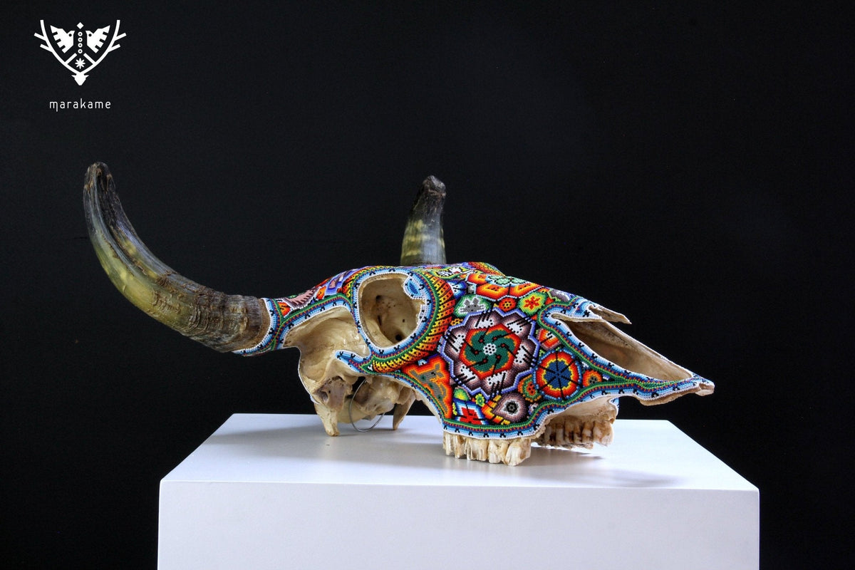 Cráneo de vaca Arte Huichol - Raie ascendente - Arte Huichol - Marakame