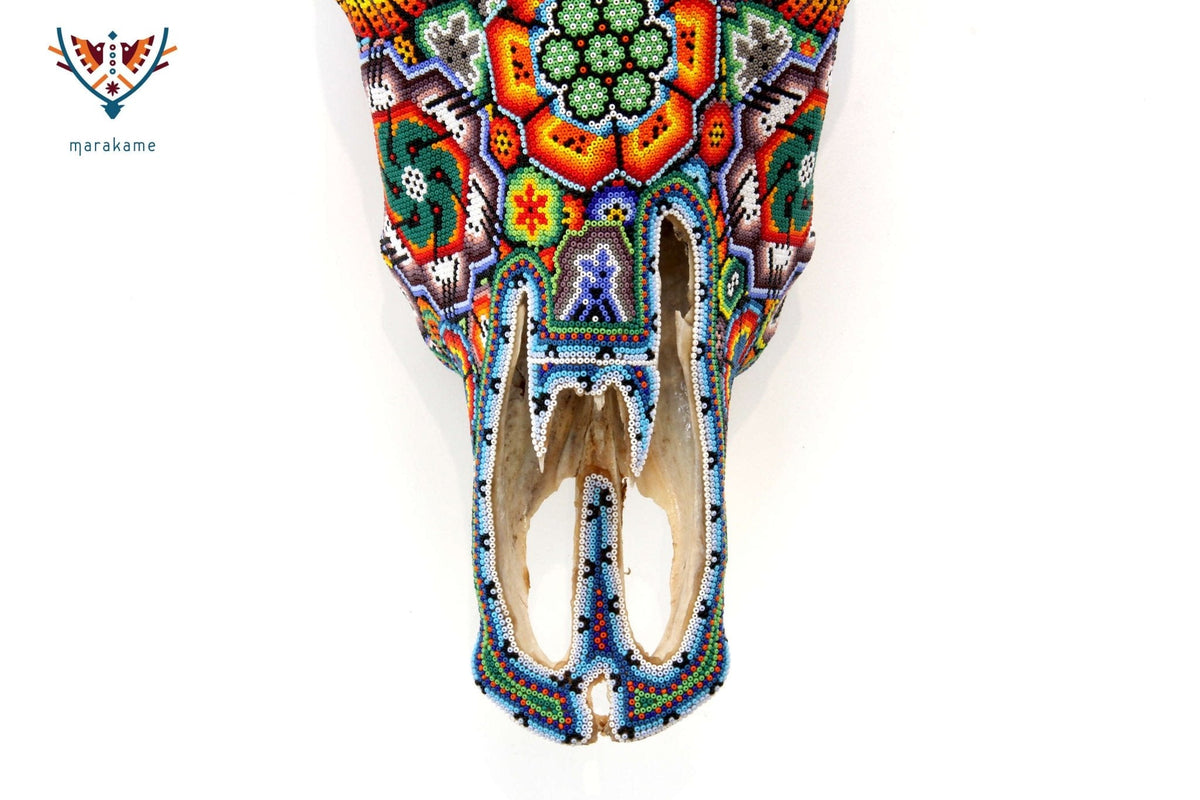 Cráneo de vaca Arte Huichol - Raie ascendente - Arte Huichol - Marakame