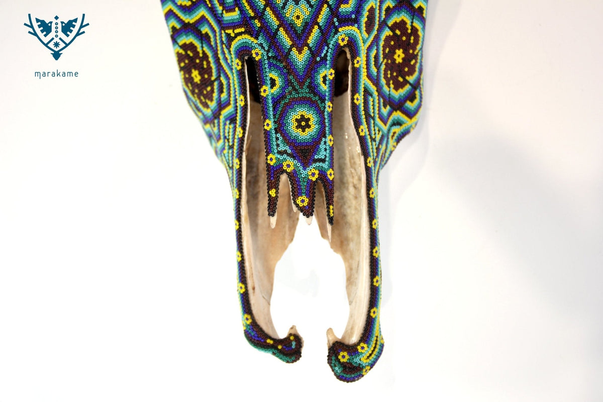 Cráneo de vaca Arte Huichol - Tatéi Hikuri - Arte Huichol - Marakame