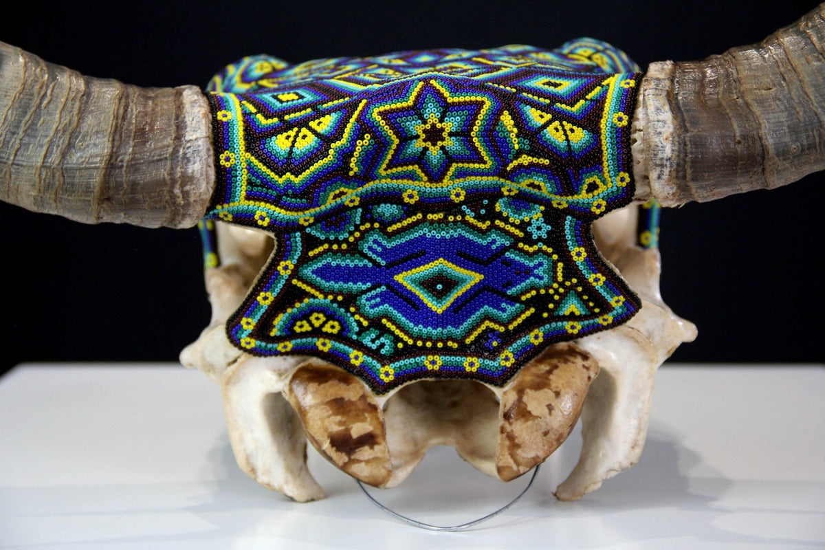 Cráneo de vaca Arte Huichol - Tatéi Hikuri - Arte Huichol - Marakame