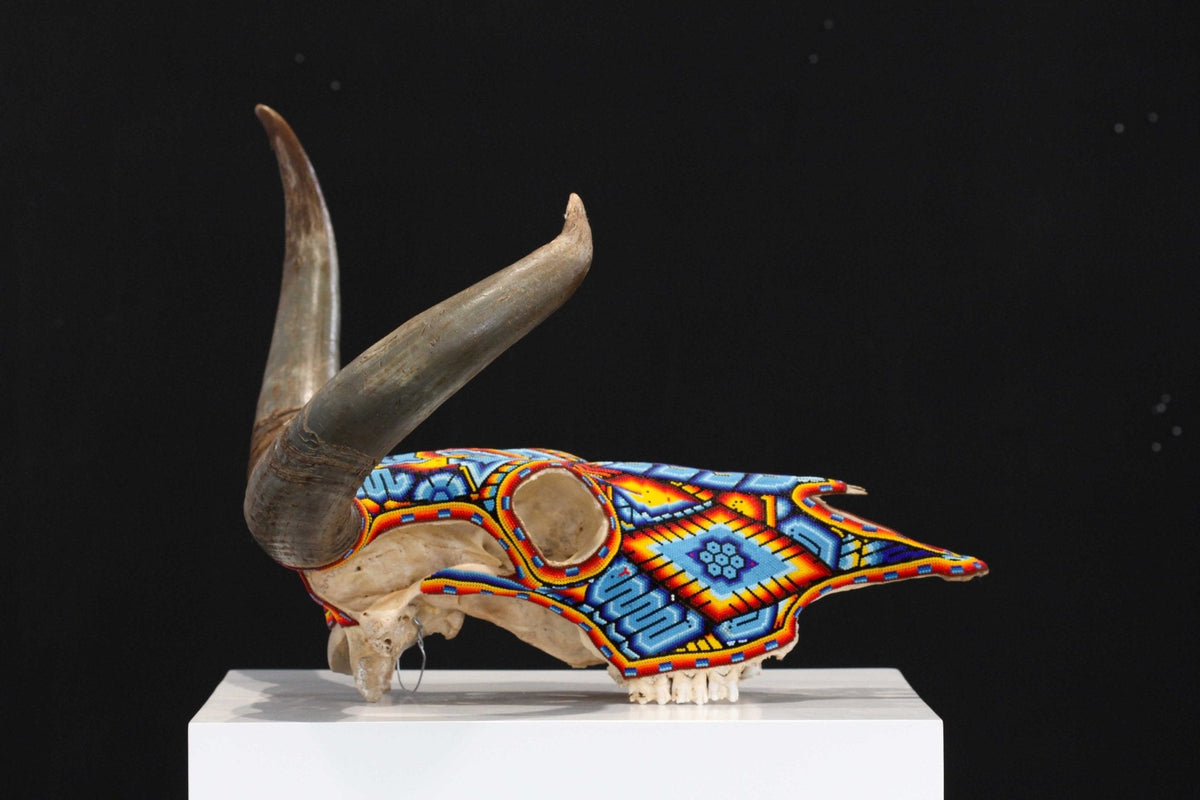 Cráneo de vaca Arte Huichol - Tatei Matinieri I - Arte Huichol - Marakame