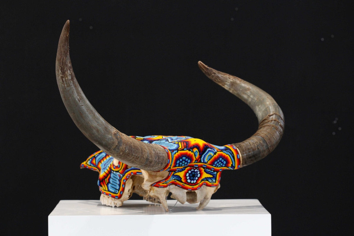 Cráneo de vaca Arte Huichol - Tatei Matinieri I - Arte Huichol - Marakame