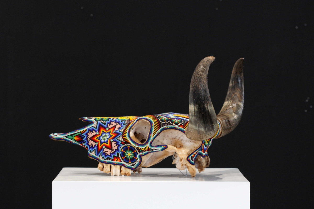 Cráneo de vaca Arte Huichol - Tatei Matinieri V - Arte Huichol - Marakame