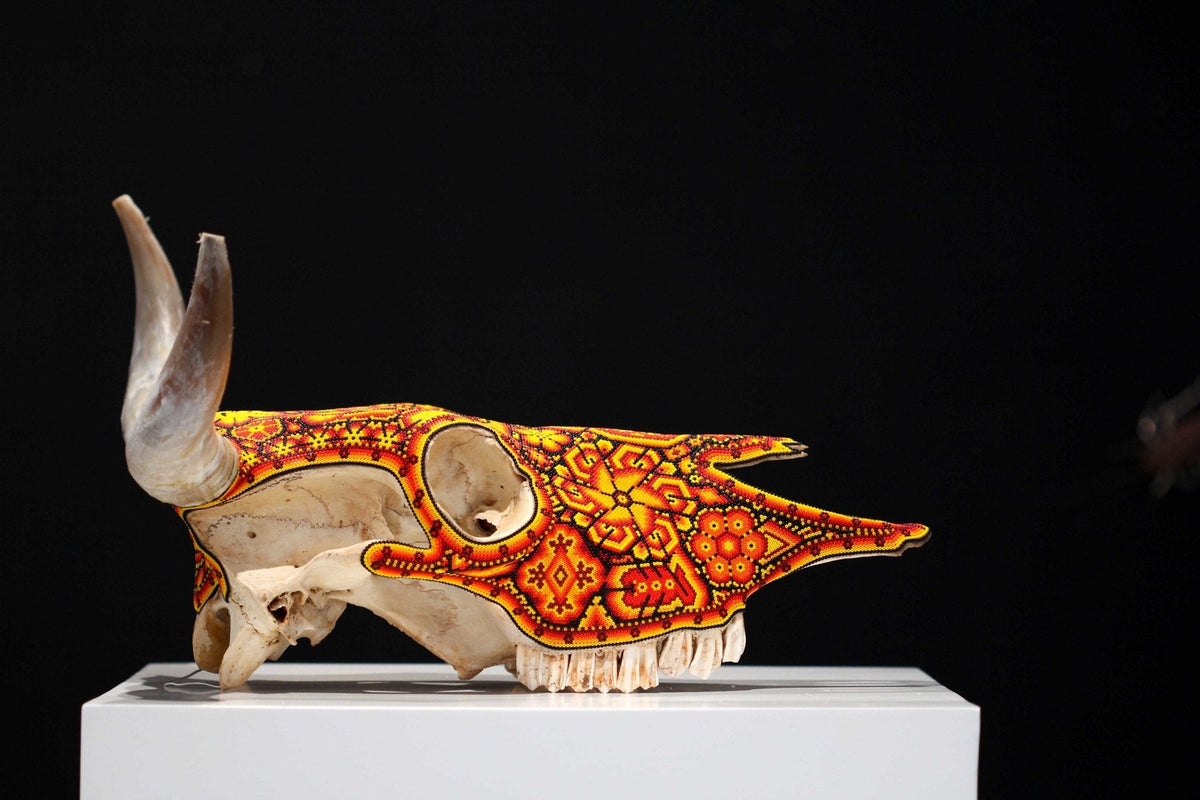 Cráneo de vaca Arte Huichol - Tatewari - Arte Huichol - Marakame