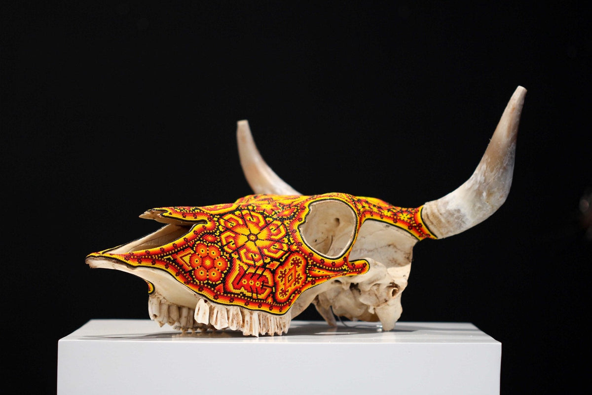 Cráneo de vaca Arte Huichol - Tatewari - Arte Huichol - Marakame