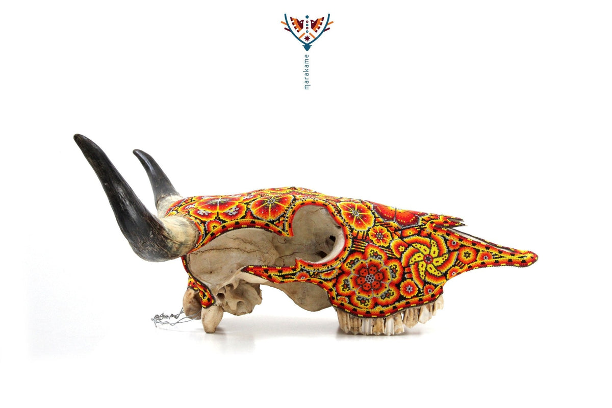 Cráneo de vaca Arte Huichol - Tatewari - Arte Huichol - Marakame