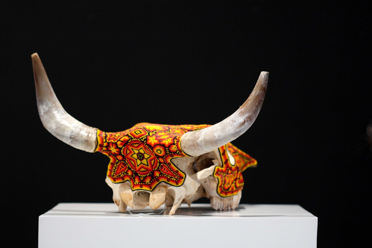 Cráneo de vaca Arte Huichol - Tatewari - Arte Huichol - Marakame
