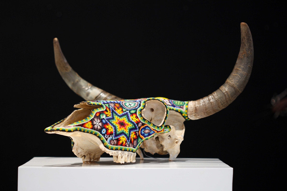 Cráneo de vaca Arte Huichol - Tau II - Arte Huichol - Marakame