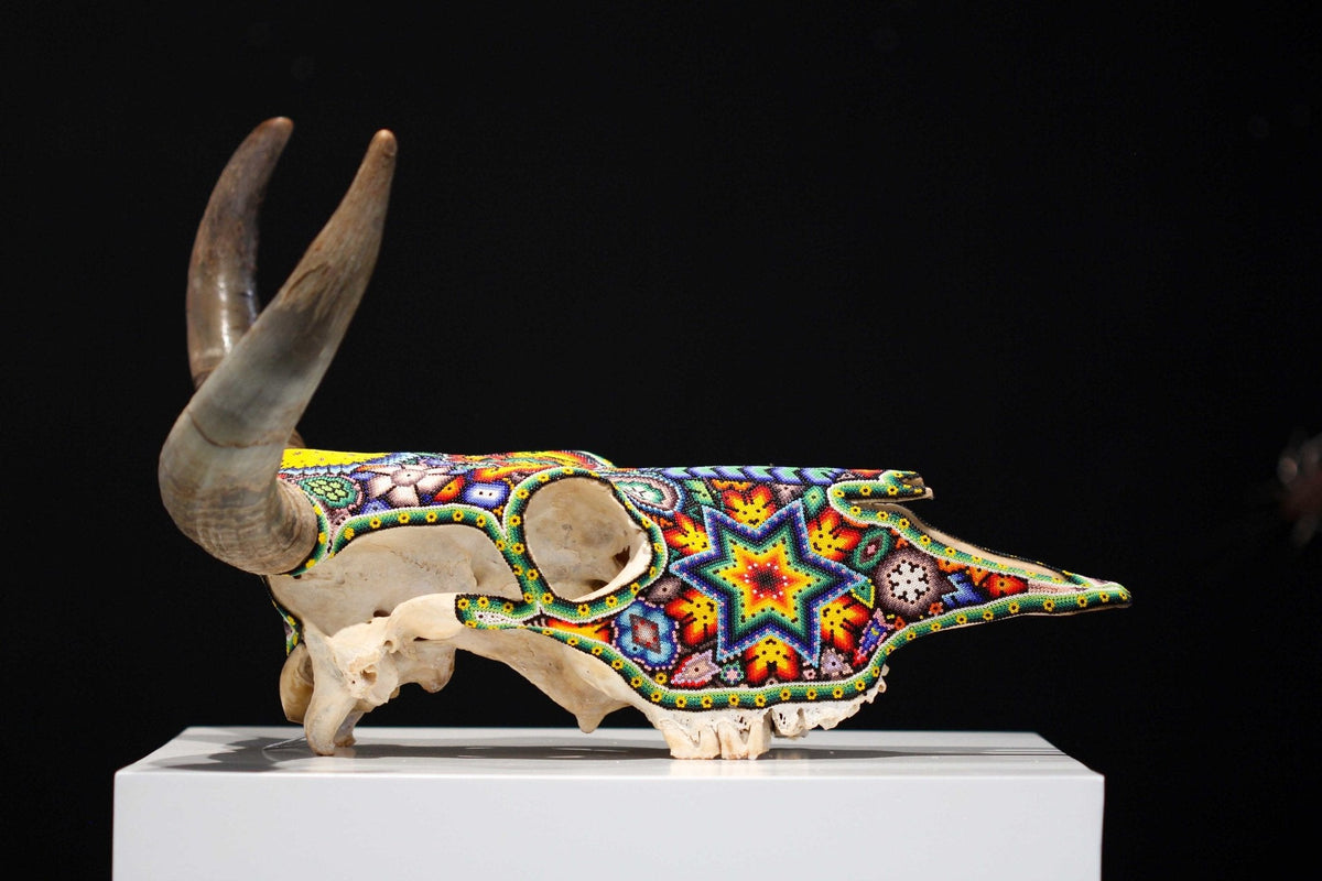 Cráneo de vaca Arte Huichol - Tau II - Arte Huichol - Marakame