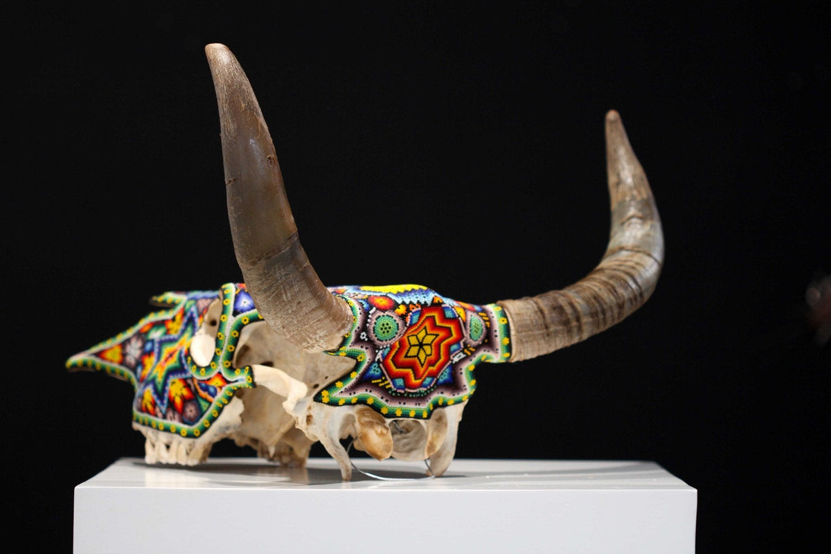 Cráneo de vaca Arte Huichol - Tau II - Arte Huichol - Marakame