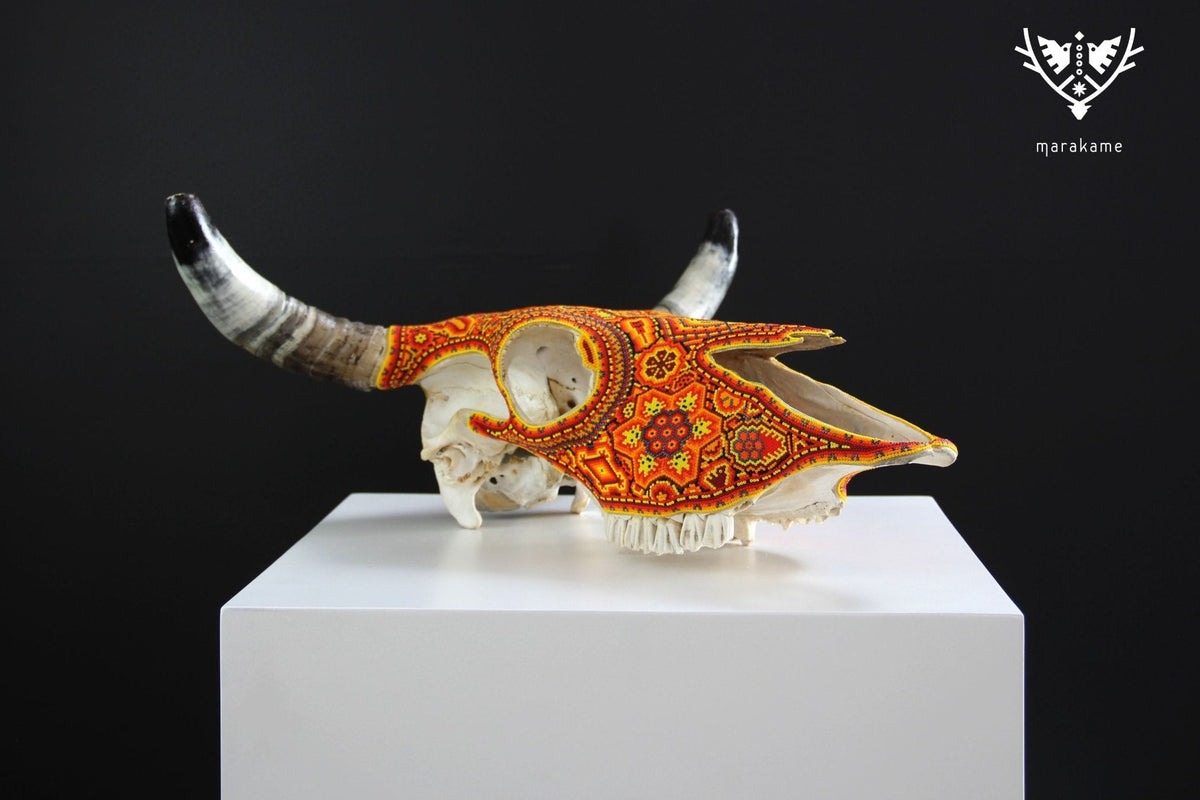 Cráneo de vaca Arte Huichol - Tau Tatewari - Arte Huichol - Marakame