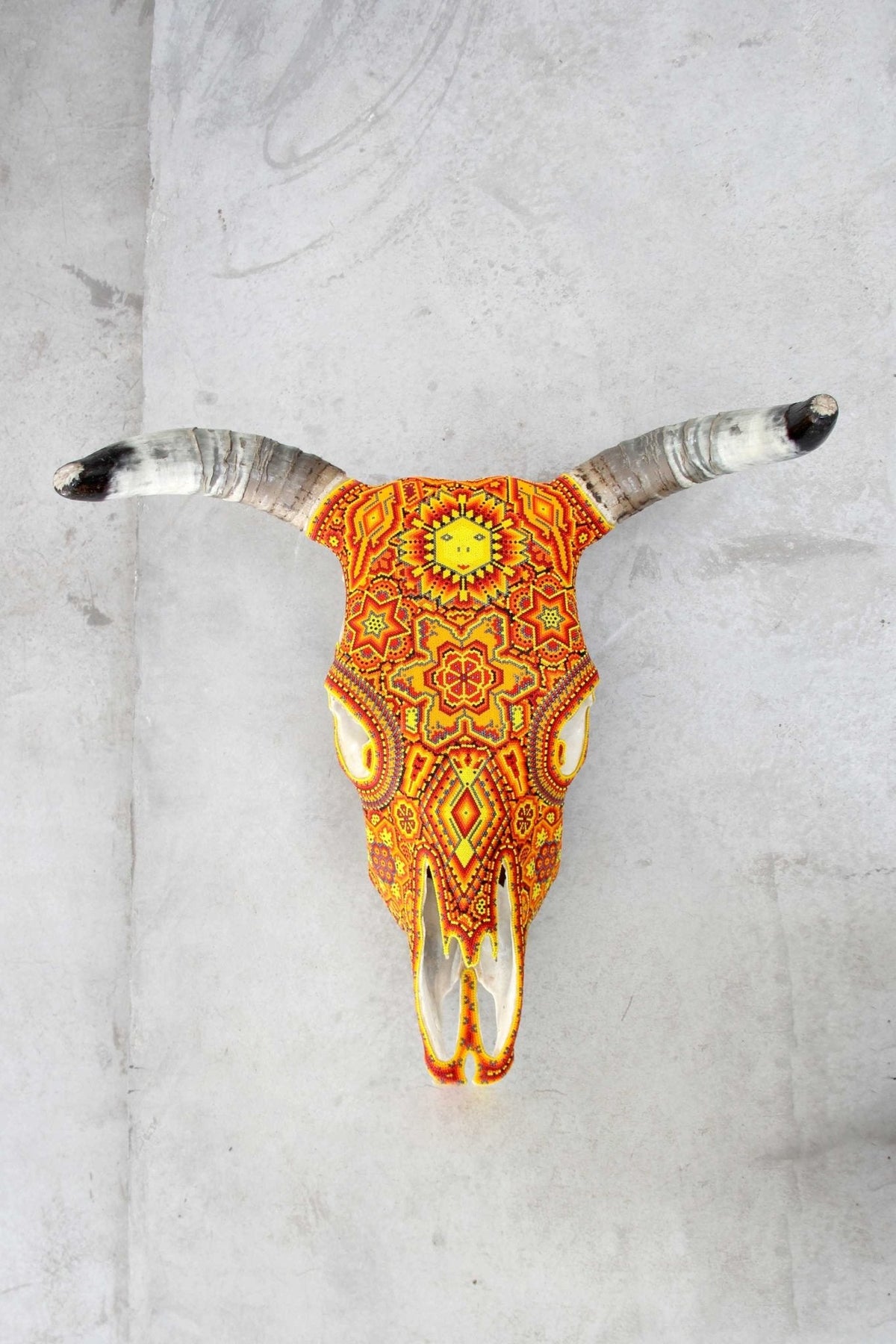 Cráneo de vaca Arte Huichol - Tau Tatewari - Arte Huichol - Marakame