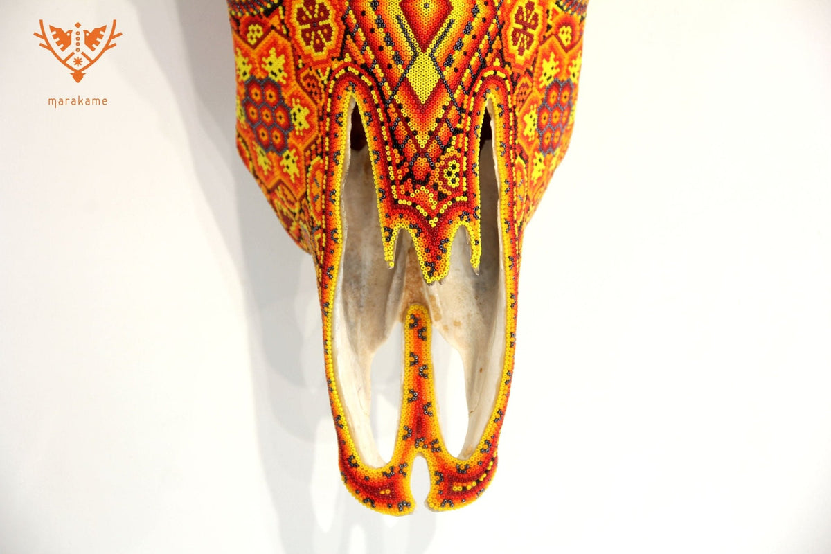 Cráneo de vaca Arte Huichol - Tau Tatewari - Arte Huichol - Marakame