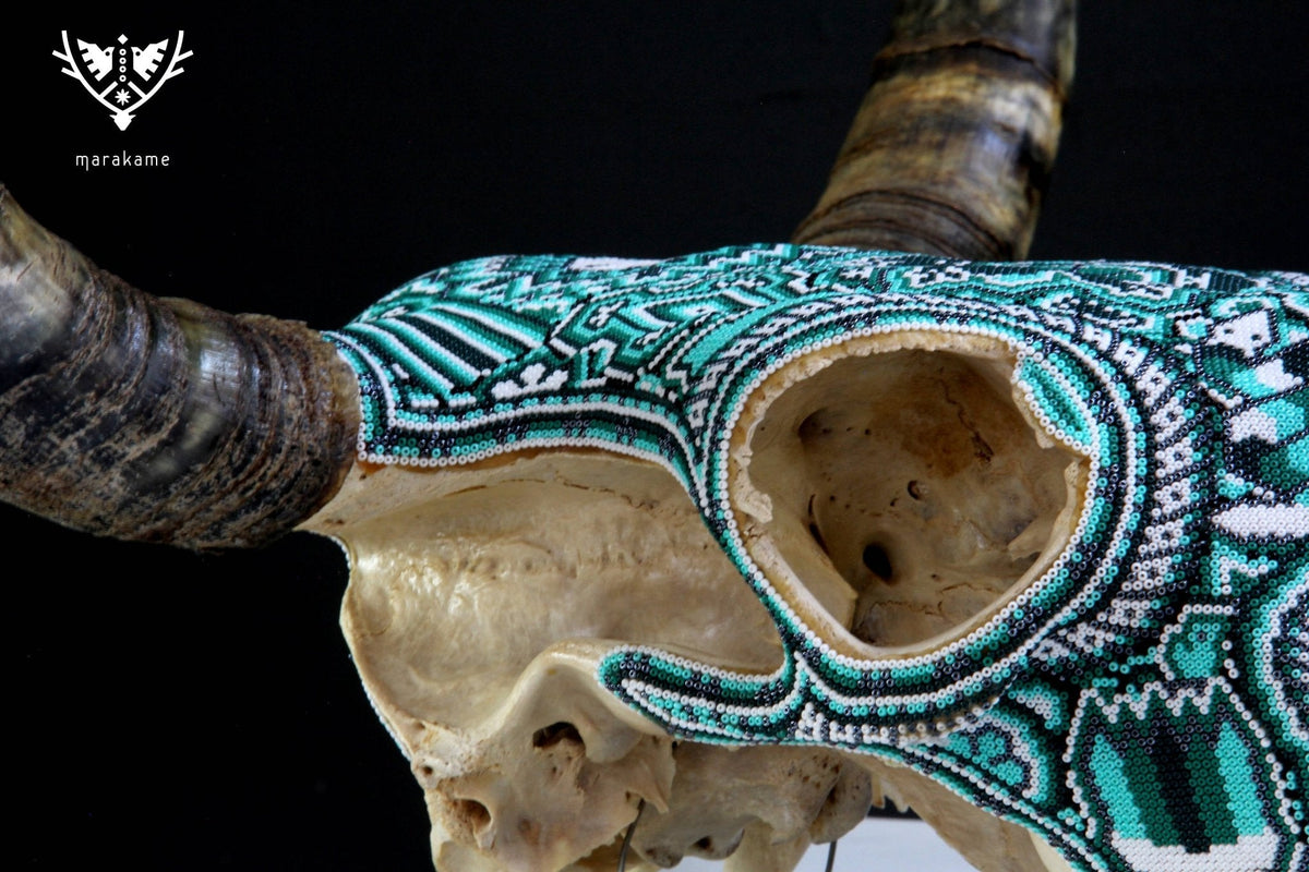 Cráneo de vaca Arte Huichol - Tawexiká en Wirikuta - Arte Huichol - Marakame