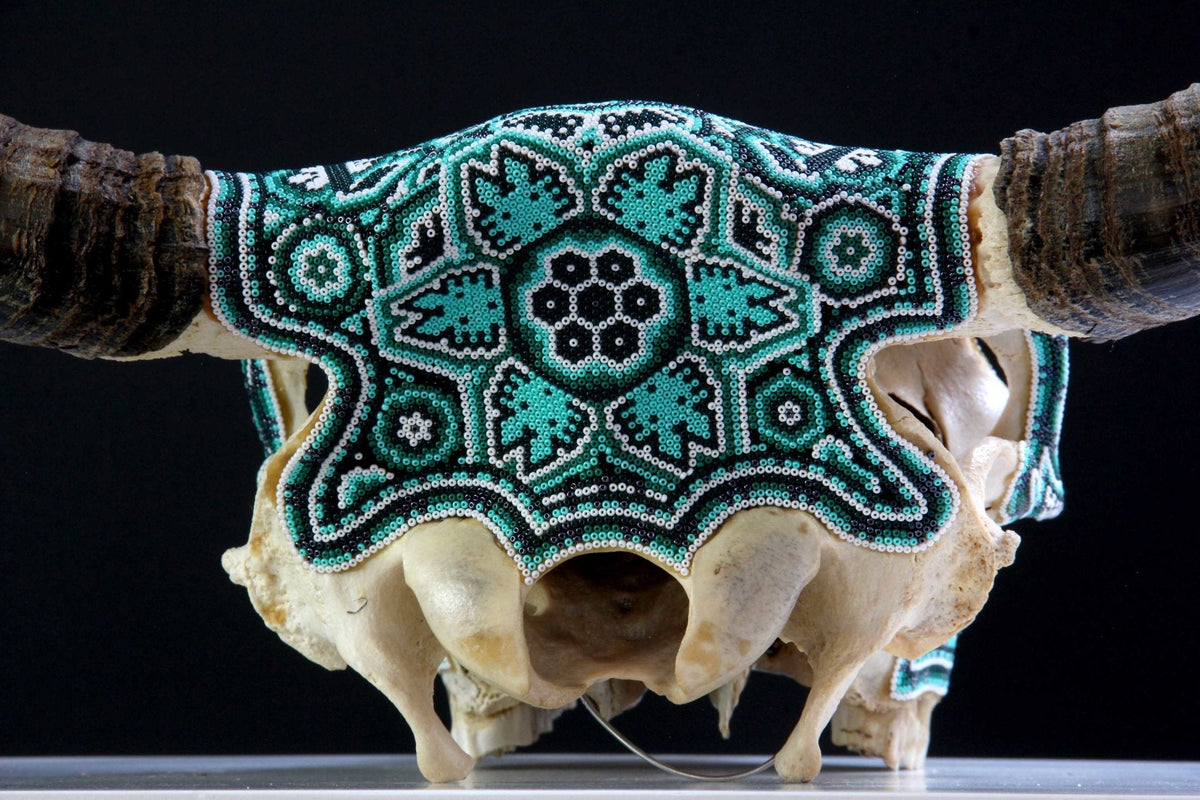 Cráneo de vaca Arte Huichol - Tawexiká en Wirikuta - Arte Huichol - Marakame