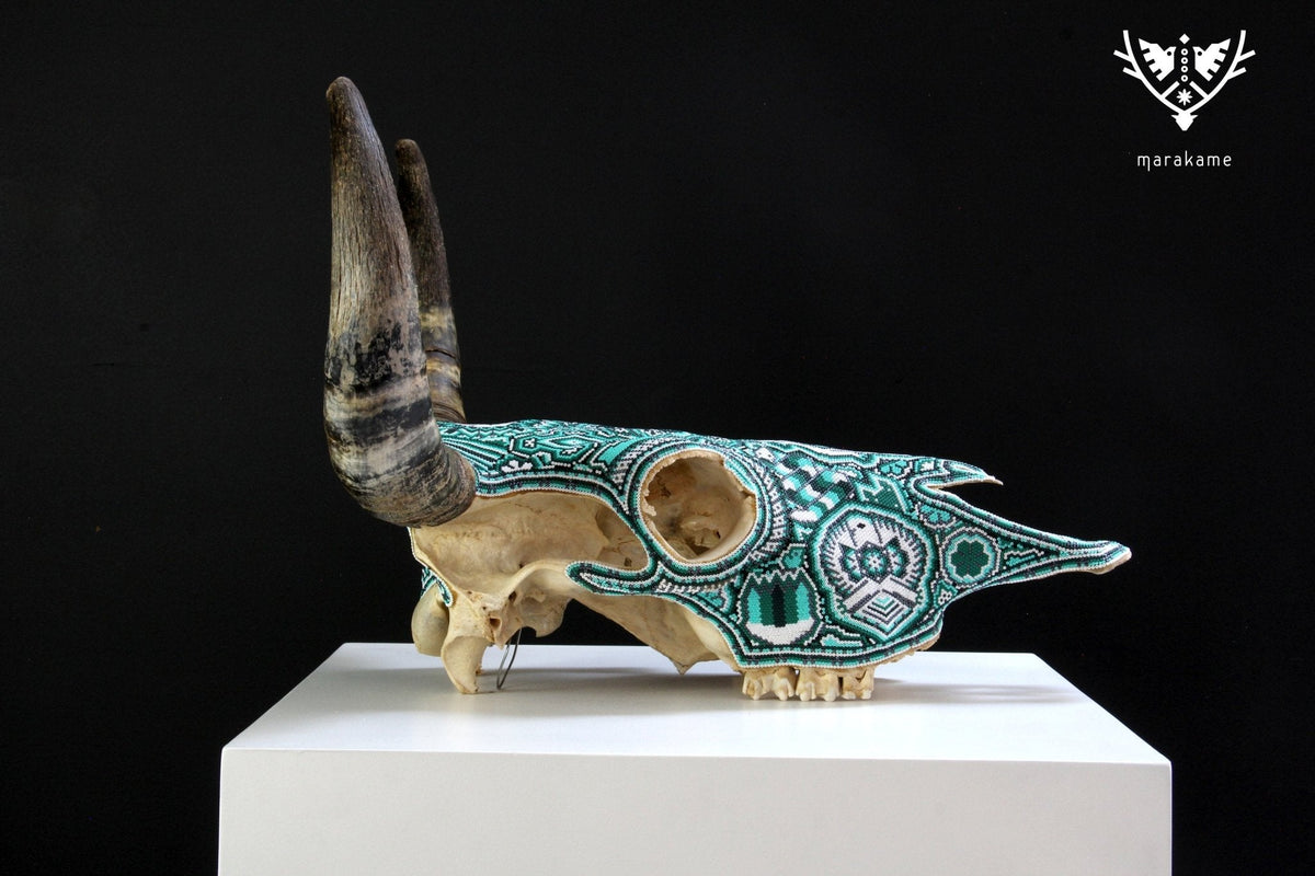 Cráneo de vaca Arte Huichol - Tawexiká en Wirikuta - Arte Huichol - Marakame