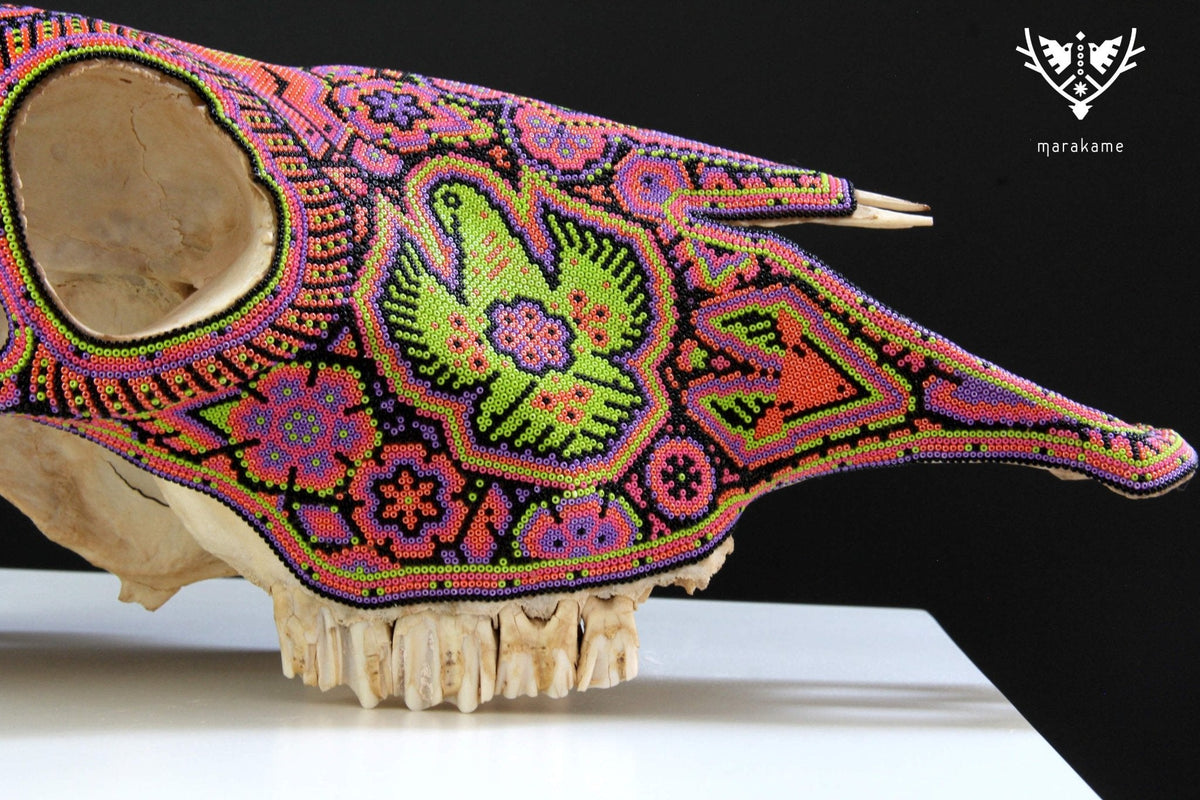 Cráneo de vaca Arte Huichol - Tseriakame - Arte Huichol - Marakame