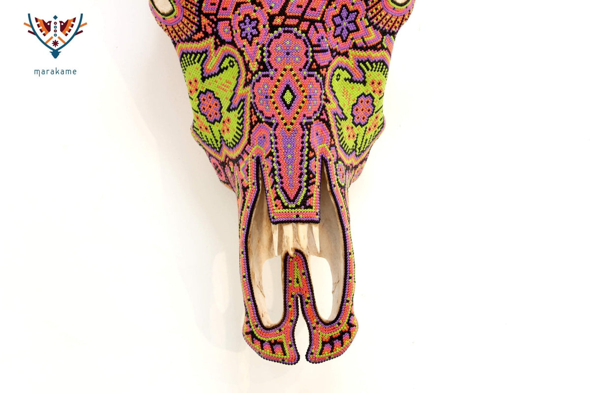 Cráneo de vaca Arte Huichol - Tseriakame - Arte Huichol - Marakame