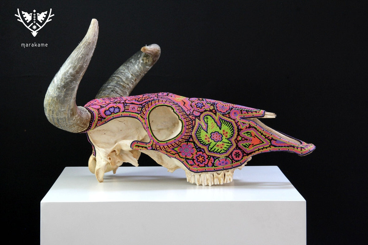Cráneo de vaca Arte Huichol - Tseriakame - Arte Huichol - Marakame