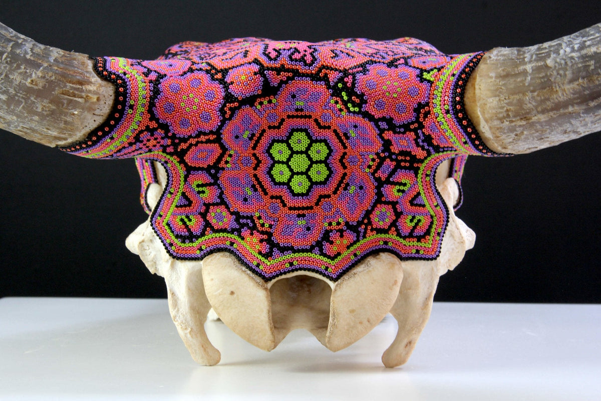 Cráneo de vaca Arte Huichol - Tseriakame - Arte Huichol - Marakame