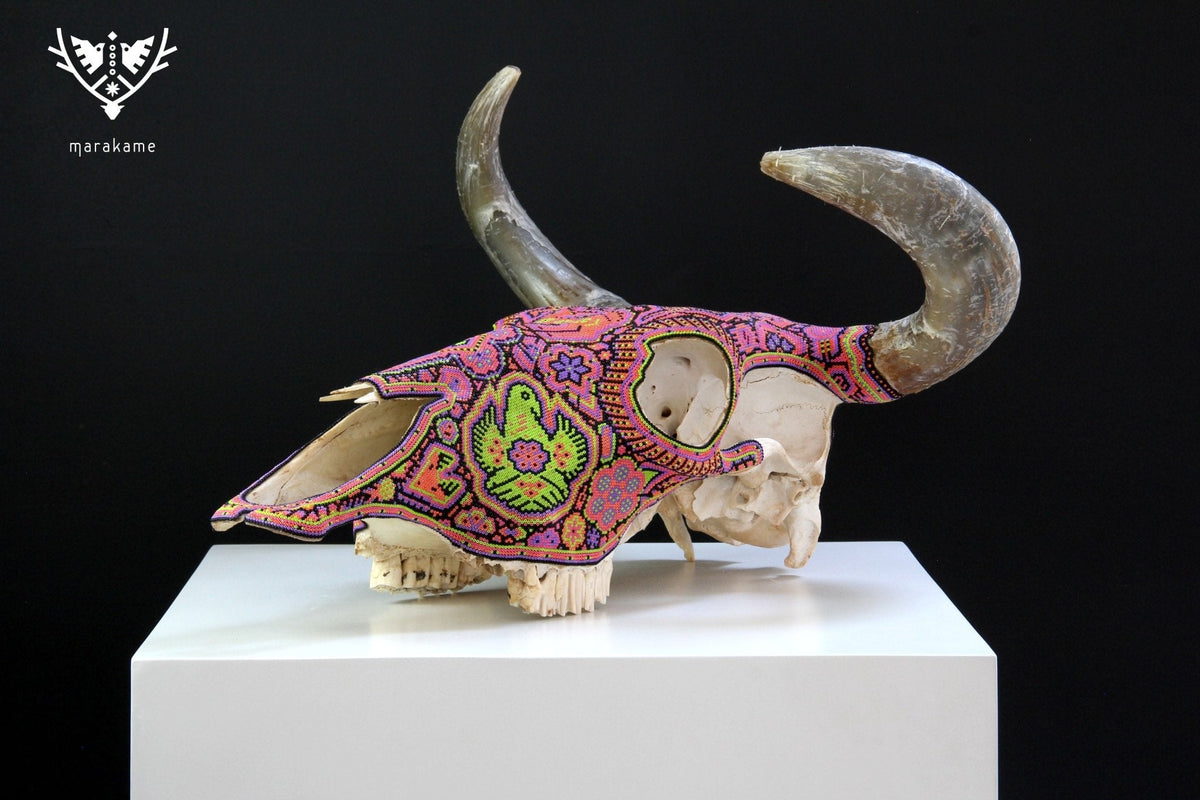 Cráneo de vaca Arte Huichol - Tseriakame - Arte Huichol - Marakame