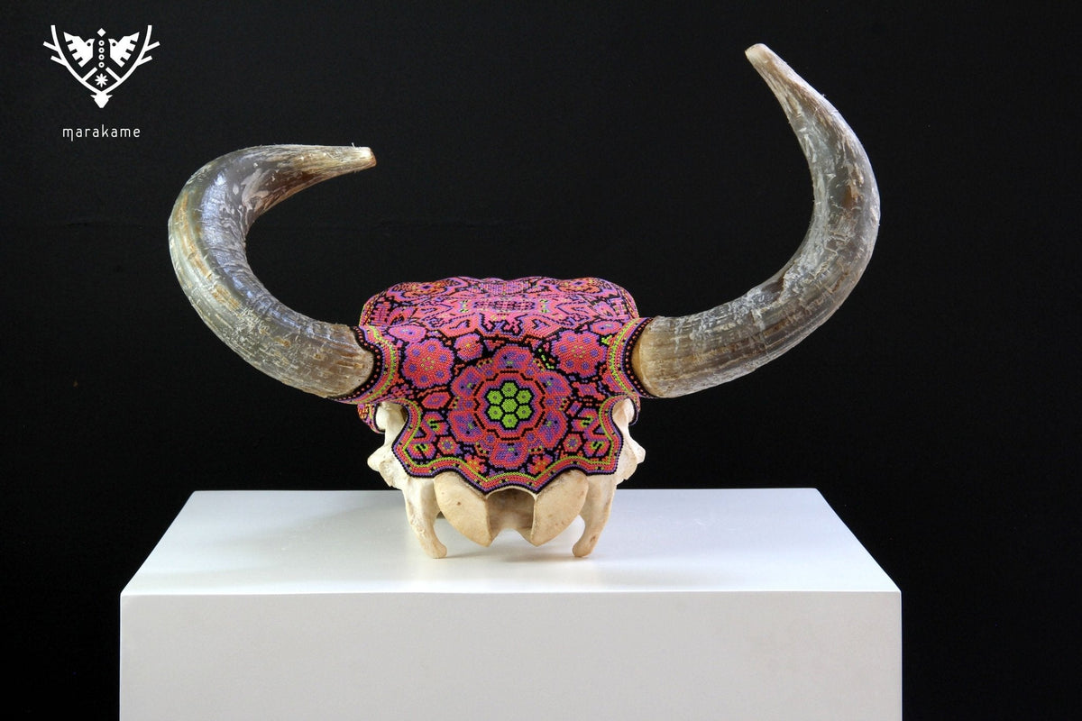 Cráneo de vaca Arte Huichol - Tseriakame - Arte Huichol - Marakame