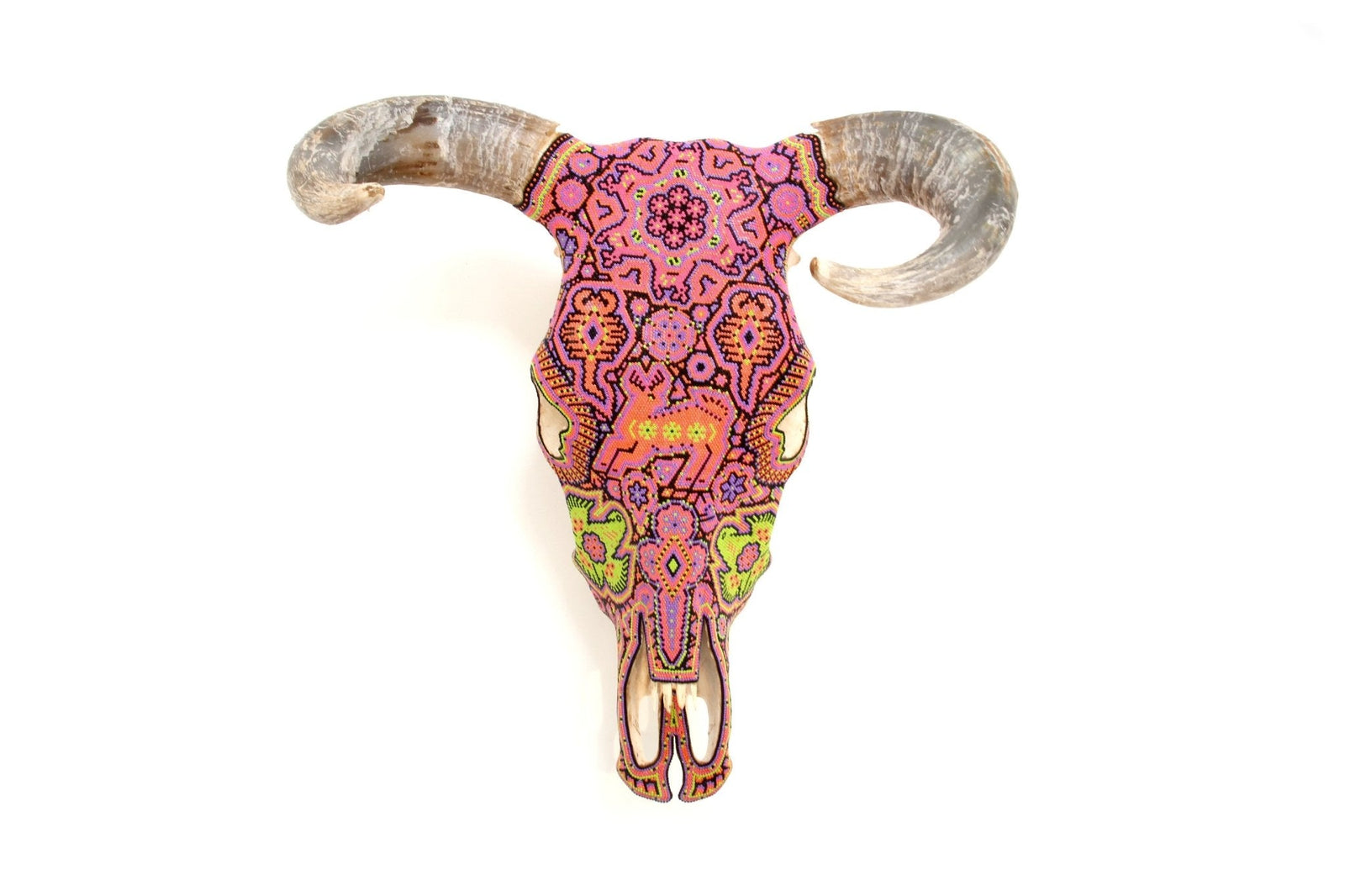 Cráneo de vaca Arte Huichol - Tseriakame - Arte Huichol - Marakame