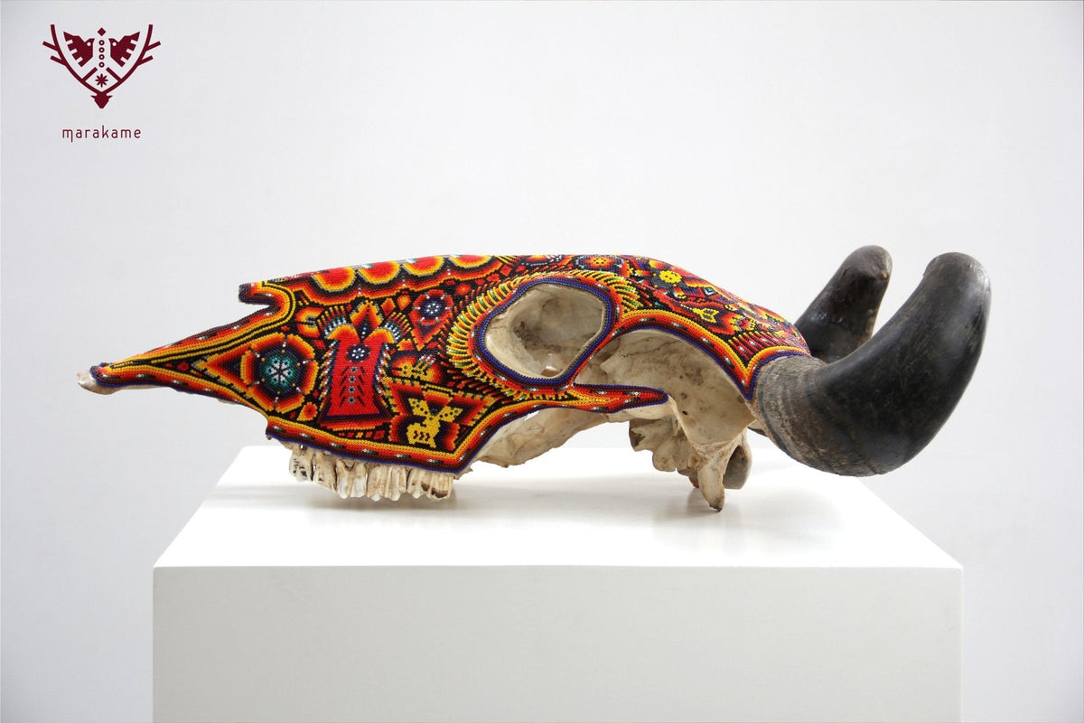 Cráneo de vaca Arte Huichol - Tuutú - Arte Huichol - Marakame