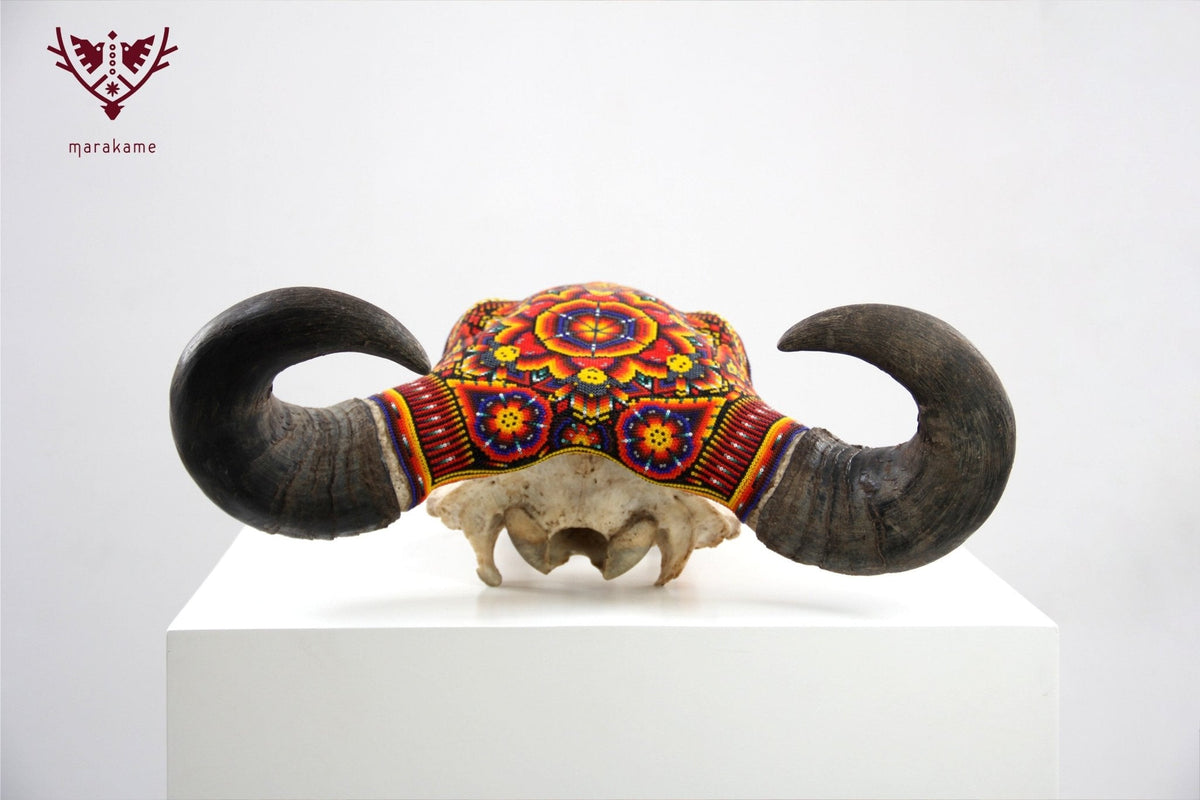 Cráneo de vaca Arte Huichol - Tuutú - Arte Huichol - Marakame