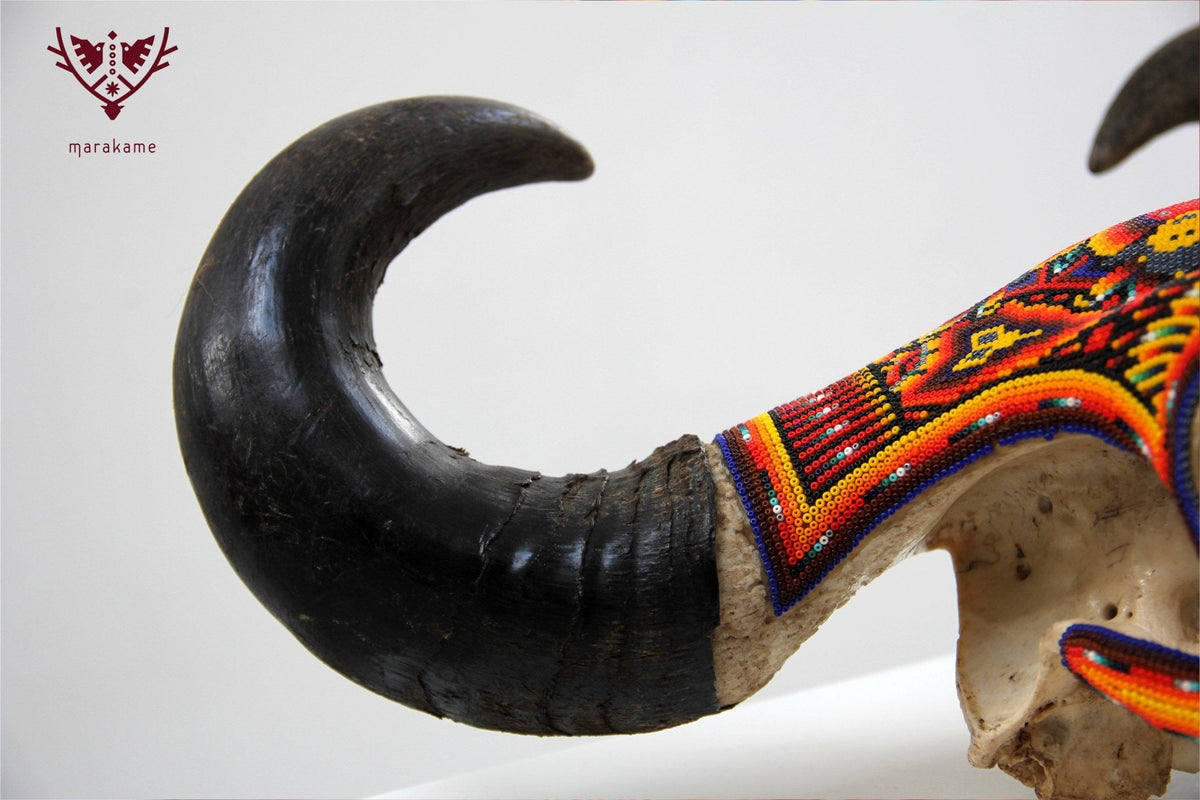 Cráneo de vaca Arte Huichol - Tuutú - Arte Huichol - Marakame