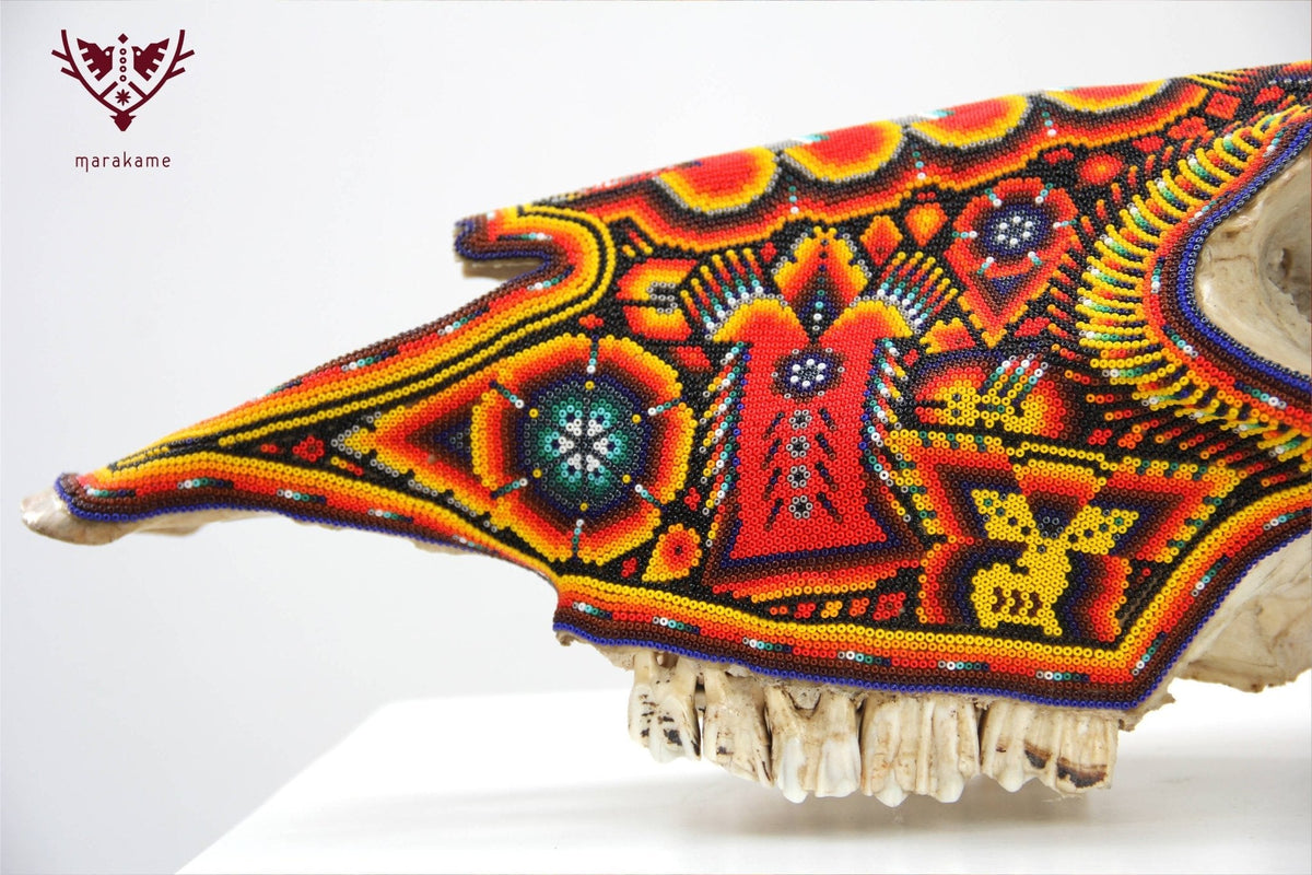 Cráneo de vaca Arte Huichol - Tuutú - Arte Huichol - Marakame