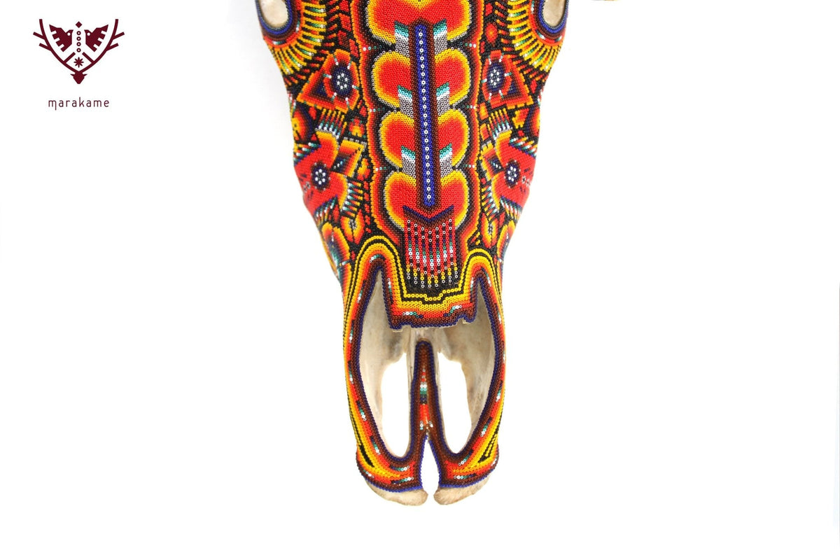 Cráneo de vaca Arte Huichol - Tuutú - Arte Huichol - Marakame