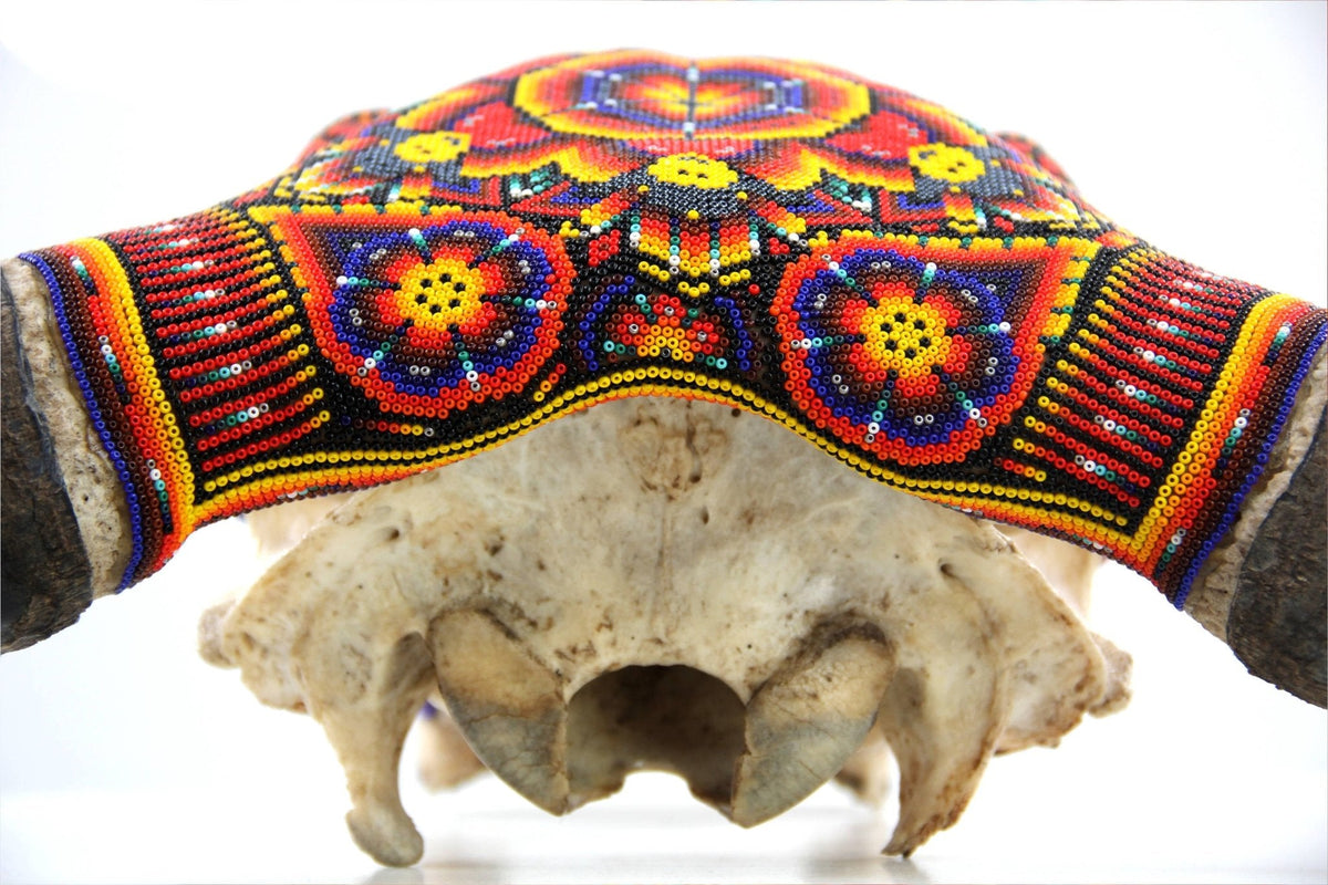 Cráneo de vaca Arte Huichol - Tuutú - Arte Huichol - Marakame