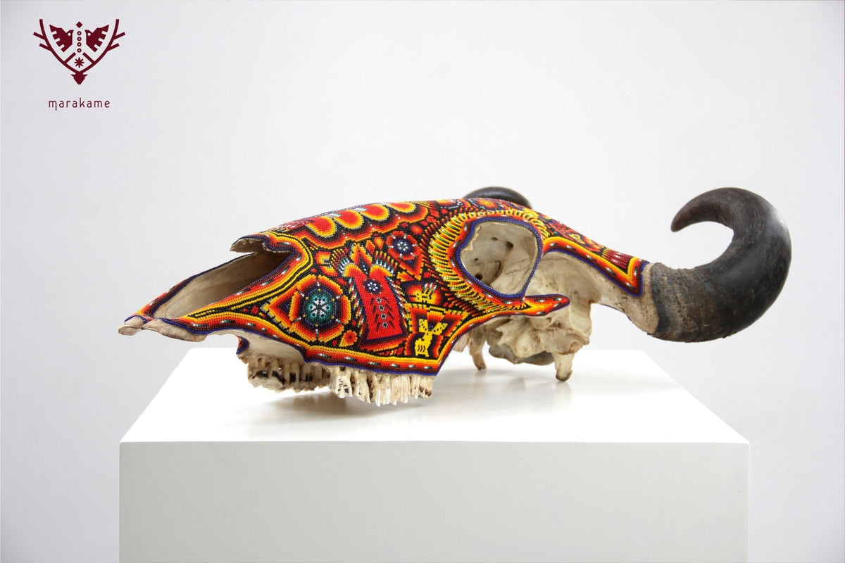 Cráneo de vaca Arte Huichol - Tuutú - Arte Huichol - Marakame