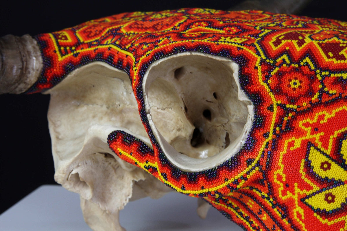 Cráneo de vaca Arte Huichol - Tuutú I - Arte Huichol - Marakame