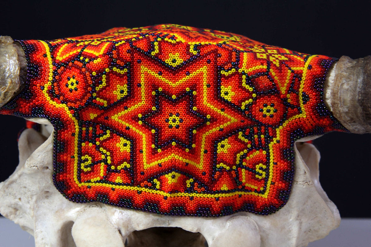 Cráneo de vaca Arte Huichol - Tuutú I - Arte Huichol - Marakame