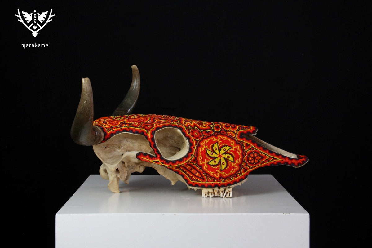Cráneo de vaca Arte Huichol - Tuutú I - Arte Huichol - Marakame